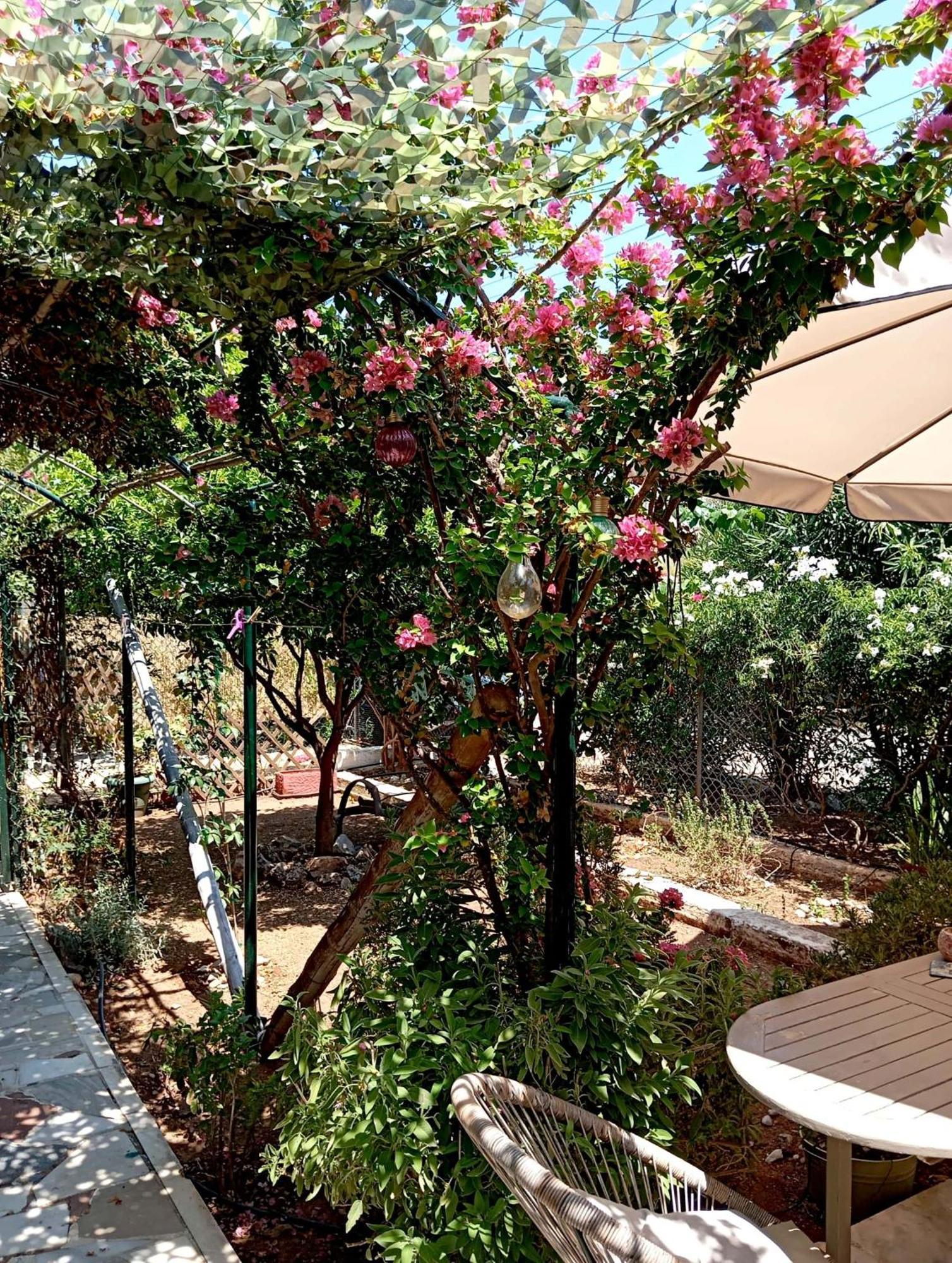 Εξοχικό Roxani Villa Ambelakia Ngoại thất bức ảnh