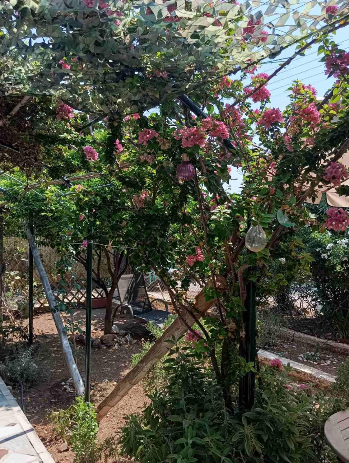 Εξοχικό Roxani Villa Ambelakia Ngoại thất bức ảnh